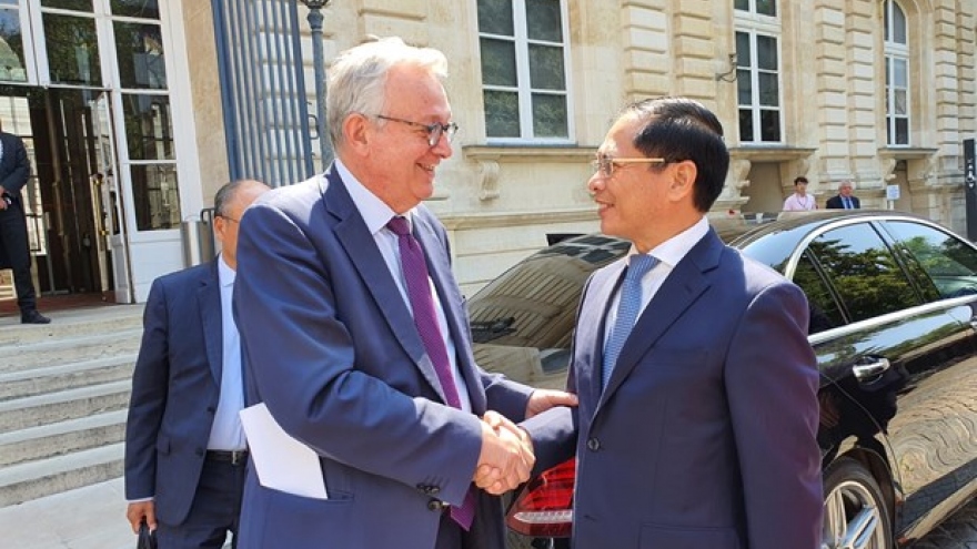 Vietnam treasures all-around relations with France